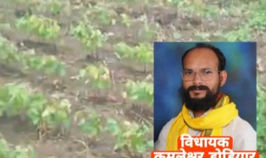 सर्वे कराकर किसानों को दिया जाए मुआवजा, सैलाना विधायक कमलेश्वर डोडियार ने मुख्यमंत्री व कलेक्टर को लिखा पत्र