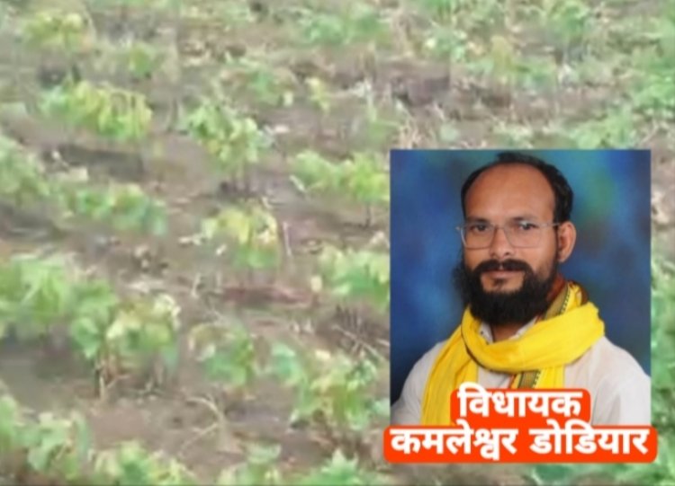 सर्वे कराकर किसानों को दिया जाए मुआवजा, सैलाना विधायक कमलेश्वर डोडियार ने मुख्यमंत्री व कलेक्टर को लिखा पत्र