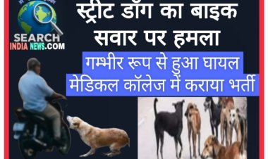 स्ट्रीट डॉग का बाइक सवार व्यक्ति पर हमला, गंभीर रूप से हुआ घायल, मुश्किल से बचाई जान 