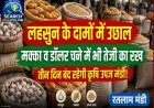 लहसुन के दामों  में उछाल, मक्का व डॉलर चने में भी तेजी का रूख, तीन बंद रहेगी कृषि उपज मंडी